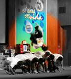foto de la actividad