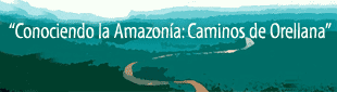 Festival Infantil de Danzas - 29 de Abril, 11:00 a.m.